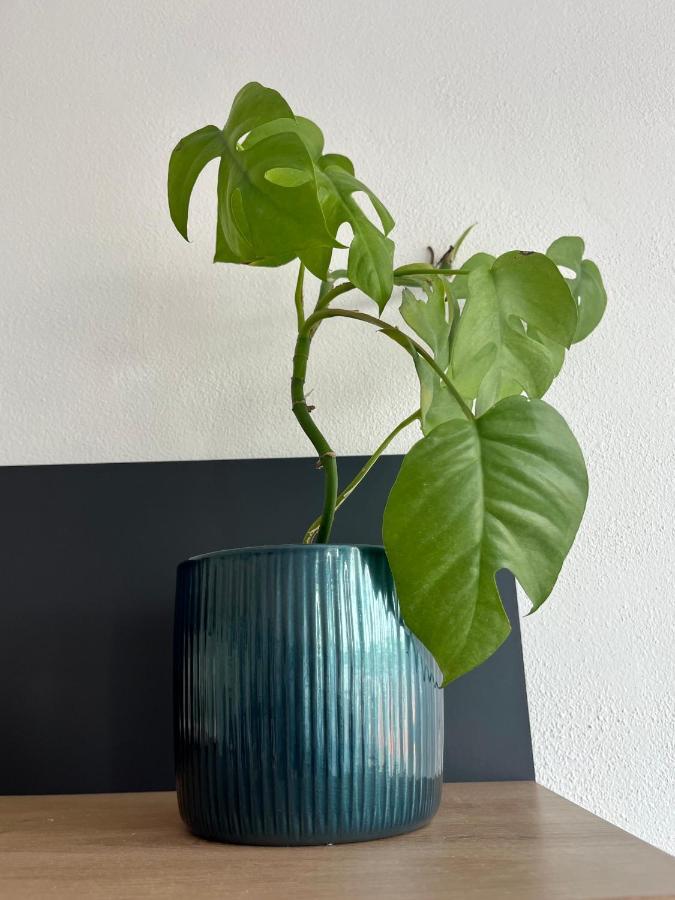 Monstera I Apartment Kolín Exterior foto
